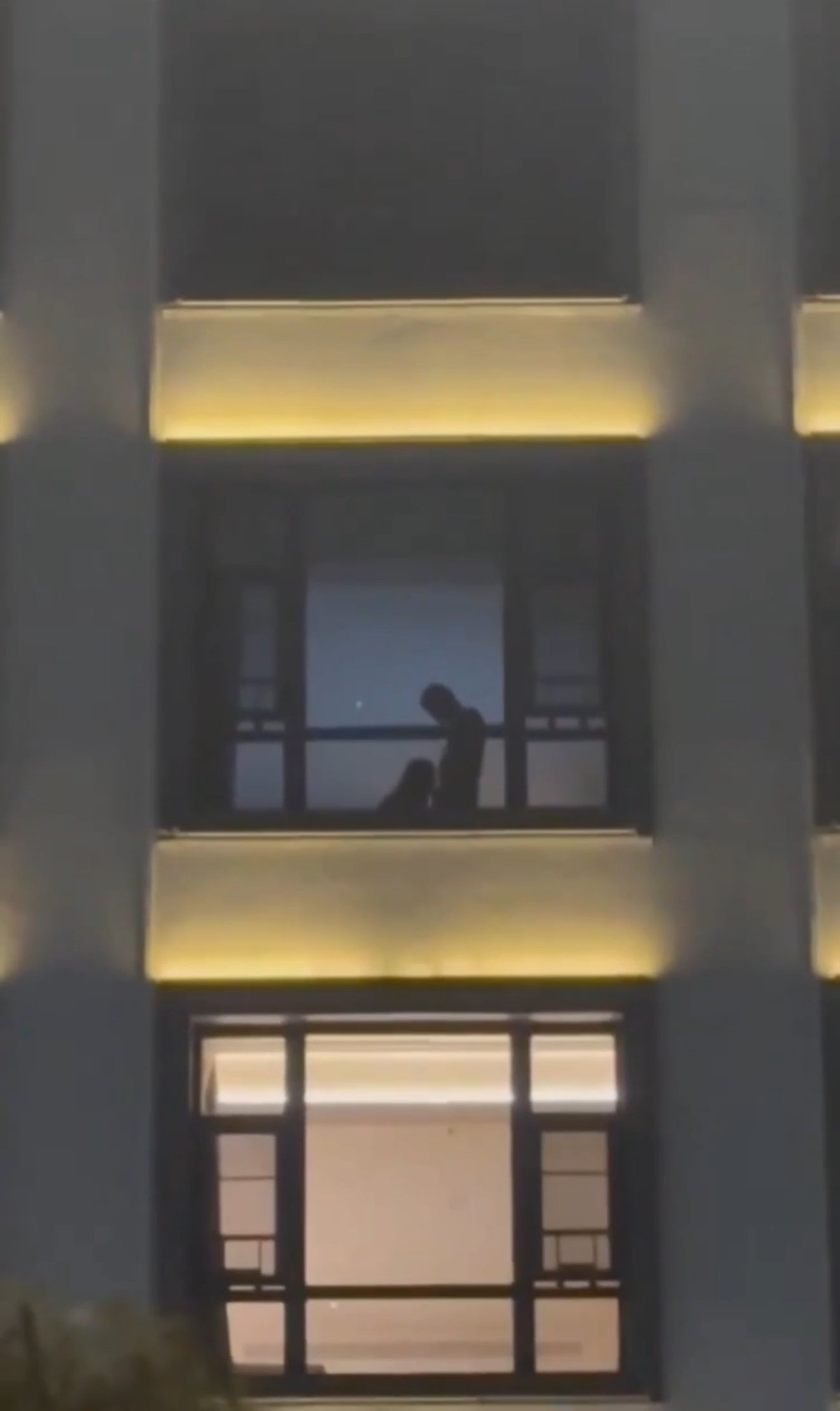 深夜皮影戏-大象吃瓜